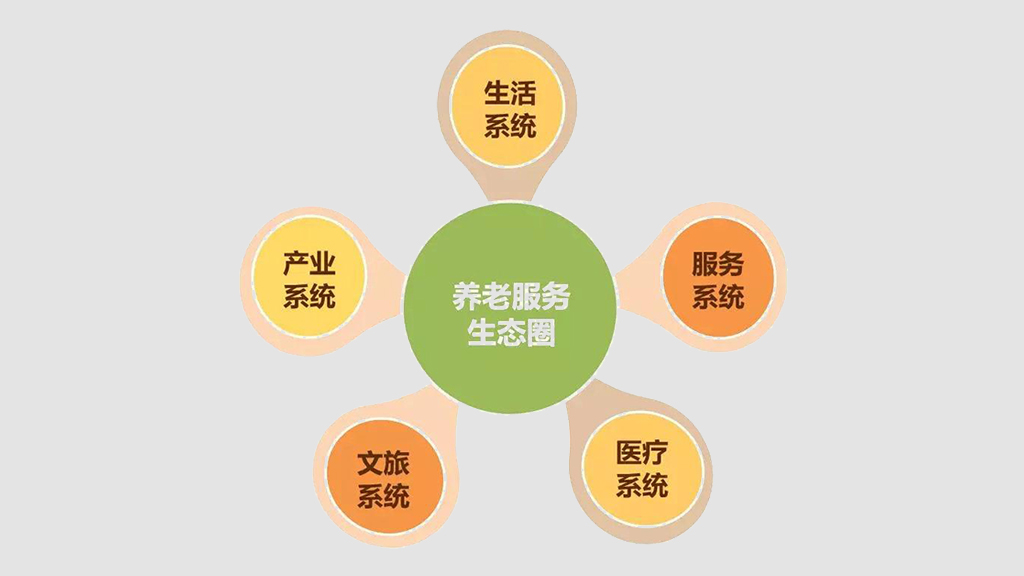 打造養(yǎng)老數(shù)字化平臺(tái) 賦能養(yǎng)老行業(yè)規(guī)?；l(fā)展(圖10)
